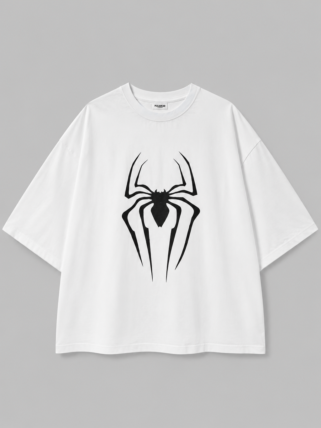 spider